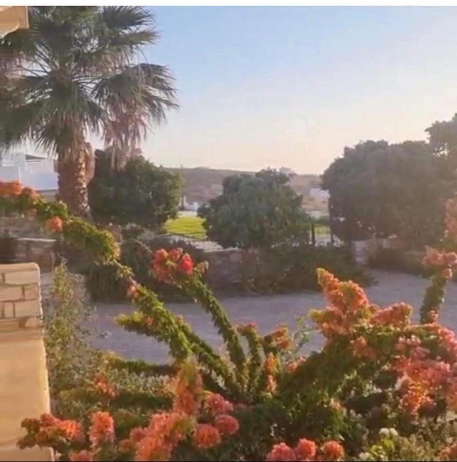 Gregos House Villa Andiparos Exterior photo